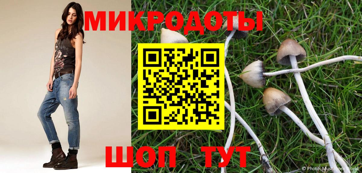 Галлюциногенные грибы Cubensis  Галлюциногенные грибы мухоморы  Сыктывкар  Вход с VPN 